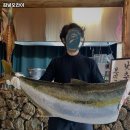 카카오 이미지
