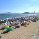 해운대 - 해운대구 세실로69번길 15 | 해운대
