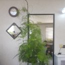 꽃잔디미용실