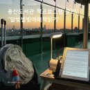 구성도서관 | [용산도서관] 두텁바우정원에서 달빛별빛아래책읽기 프로그램 후기, 달빛별빛키트 구성