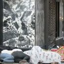 게으름의 낭만 이미지