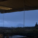 귤낭귤낭 이미지