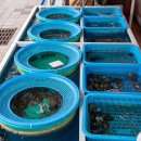 낙지골목주차장 이미지