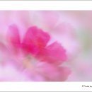 기억의 집-우리 이미지