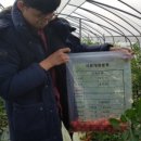 이병학농장 이미지