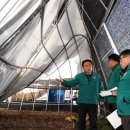 김영환농장 이미지