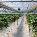 임차랑농장 이미지