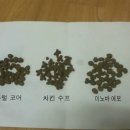 캣드림 | [캣드림]이노바 에보 청어&amp;연어 사료 후기