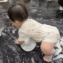 (주)이마트 하월곡점 | [이마트 하월곡 문화센터]애기똥풀 8개월 아기 수강후기