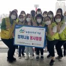 은행반찬 이미지