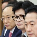 미묘 이미지