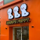 강아지정류장 이미지