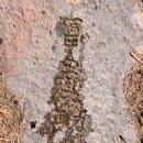 어물동마애여래좌상 공중화장실 | 진도 가볼만한곳 금골산에서 만난 보물 오층석탑과 마애여래좌상