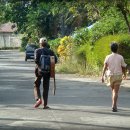 나의오후 이미지