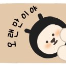 복싱DAY 이미지