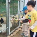 (주)오월에숲