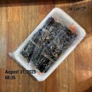 남도정비 | [공지] [등산] 지리산 3박 4일 종주 후기 (1) 성삼재-노고단