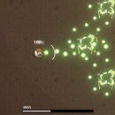 구석에 감자짬뽕 이미지