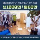 갈마중학교 이미지