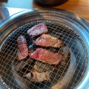 공룡고기 이미지