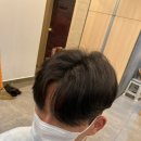 루시헤어 이미지