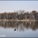 서호공원 이미지