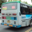 증천2리 여자 이미지