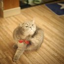 싹 게스트하우스 이미지