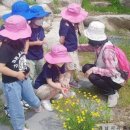 아영초등학교 이미지