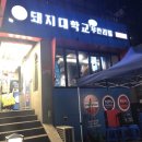 돼지대학교 이미지