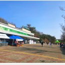 (주)호텔로씨오 | 당진 여행 1박2일 코스｜한진포구 바다, 풍천강장어 맛집, 호텔로씨오 오션뷰 숙소 후기