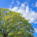 대성동고분박물관 | 아이들과 가볼만한곳 추천 유네스코세계유산 속 가야여행 김해대성동고분박물관