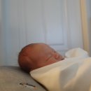 베베(Bebe) 이미지