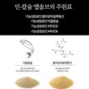 칼슘이 많은 음식 인 칼슘 앱솔브
