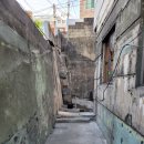 괴정동물병원 이미지