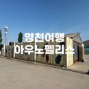아우노펠리스 | [영천여행] 대구 근교 수영장 가성비 호텔 | 아우노펠리스글램핑 호텔동