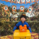 sand play  이미지