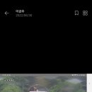 영동고속도로 통제 이미지