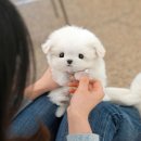 청도메디컬 이미지
