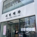 포항시북구48 | [맛집/포항 북구] 77년 전통의 맛, 빵순이가 제일 먼저 달려간 '시민제과' 🥖✨