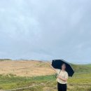 리틀덕수 | [태안] 비 오는 태안 1박 2일 여행 기록