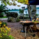 그린 팜파스 이미지