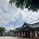 향촌식당 | 영월 맛집 다슬기향촌 성호식당 혼밥 후기, 다슬기해장국 + 동강 좁쌀 막걸리