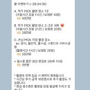 서쪽에서귤이네 | 제주도 애견동반 여행 - 아이폰스냅 귤스냅 (Gyul snap) 내돈내산 이용 후기