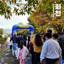 화천산소길 | [공지] 강원도 축제 여행 화천 산소길 숲으로 다리 살랑교 걷기행사