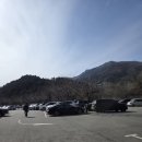 고요 | 2026.03.08 아침고요 동물원 방문 후기