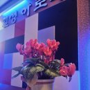 일성아로마 이미지
