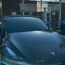 24년 모델Y rwd 5000km 주행 후기