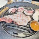 숙성고집 이미지