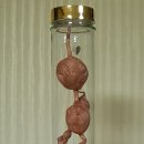 송*근 이미지